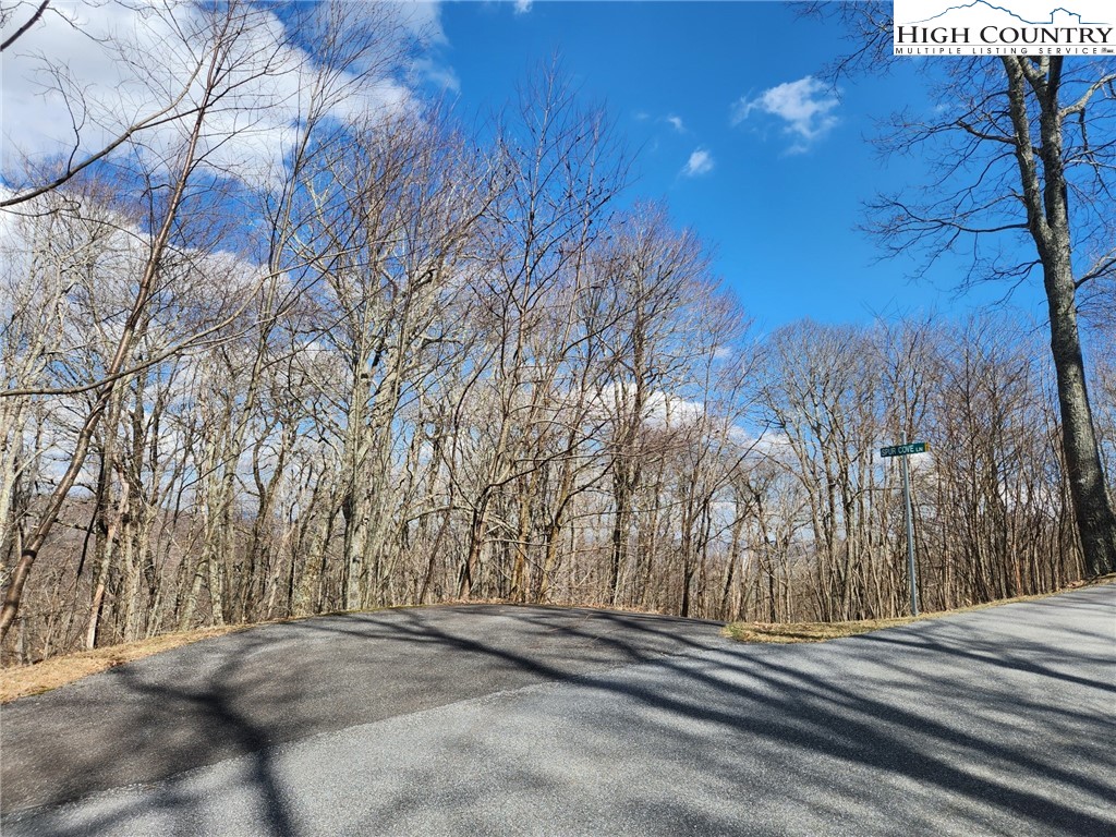 Spur Cove Lane Boone, NC 28607 - Photo 6 of 47