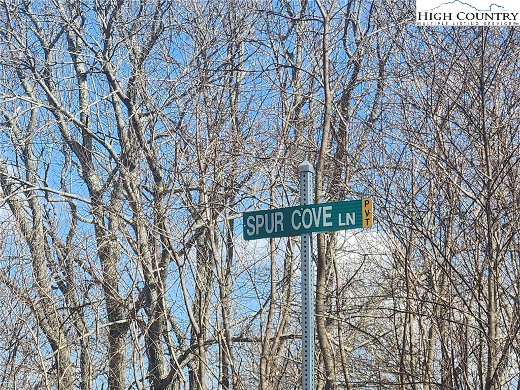 Spur Cove Lane Boone, NC 28607 - Photo 7 of 47