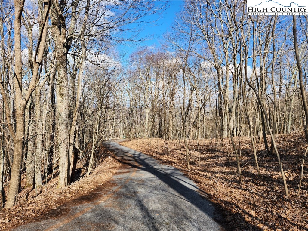 Spur Cove Lane Boone, NC 28607 - Photo 8 of 47