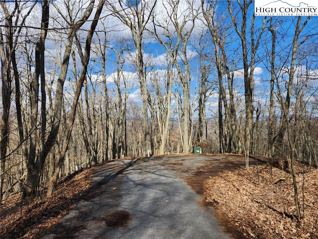 Spur Cove Lane Boone, NC 28607 - Photo 10 of 47