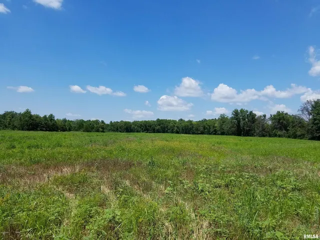 a view of a golf course with a lake