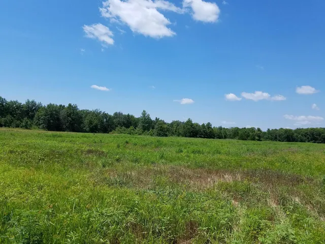 a view of yard with green space