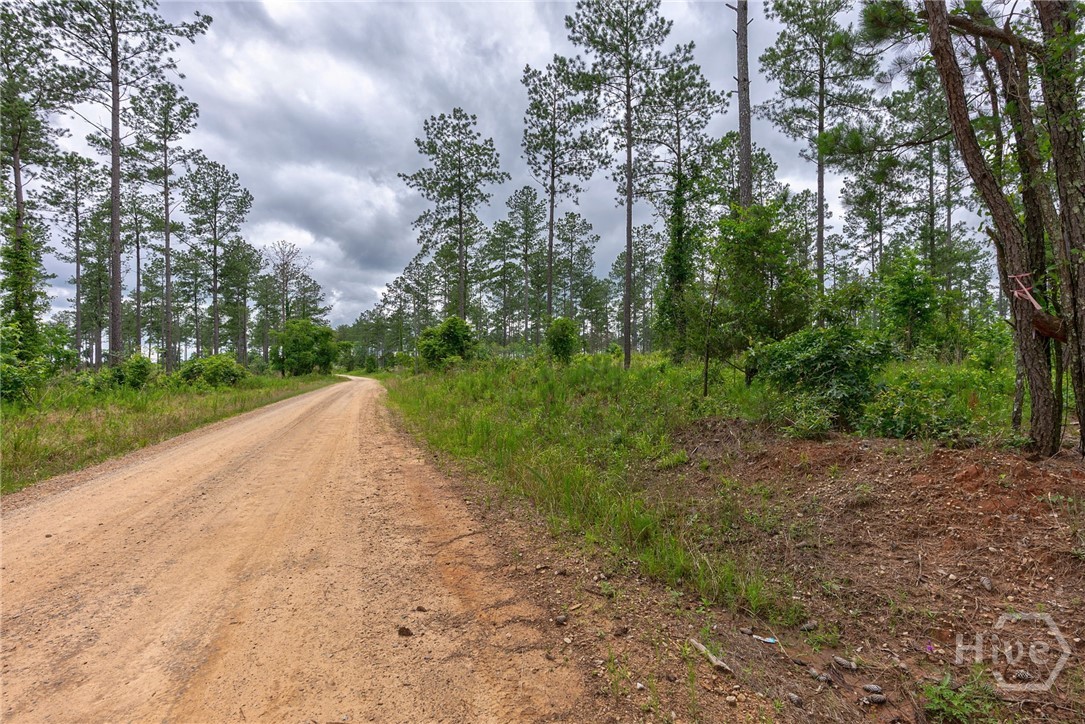3 McWhorter Road Stephens, GA 30667 - Photo 10 of 10