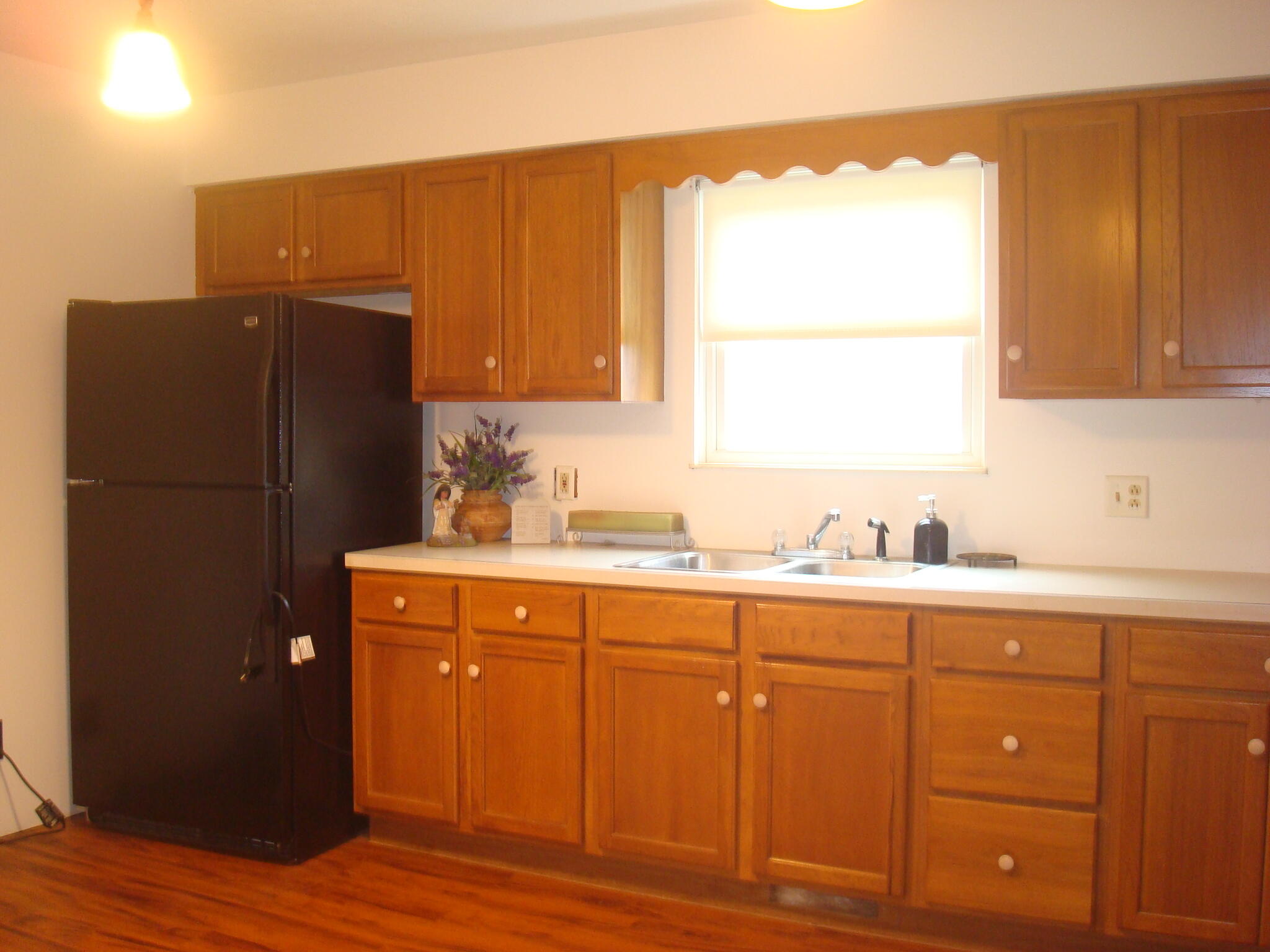 4847 South Rumsey Road Pittsford, MI 49271 - Photo 12 of 46 9191-4 (3)