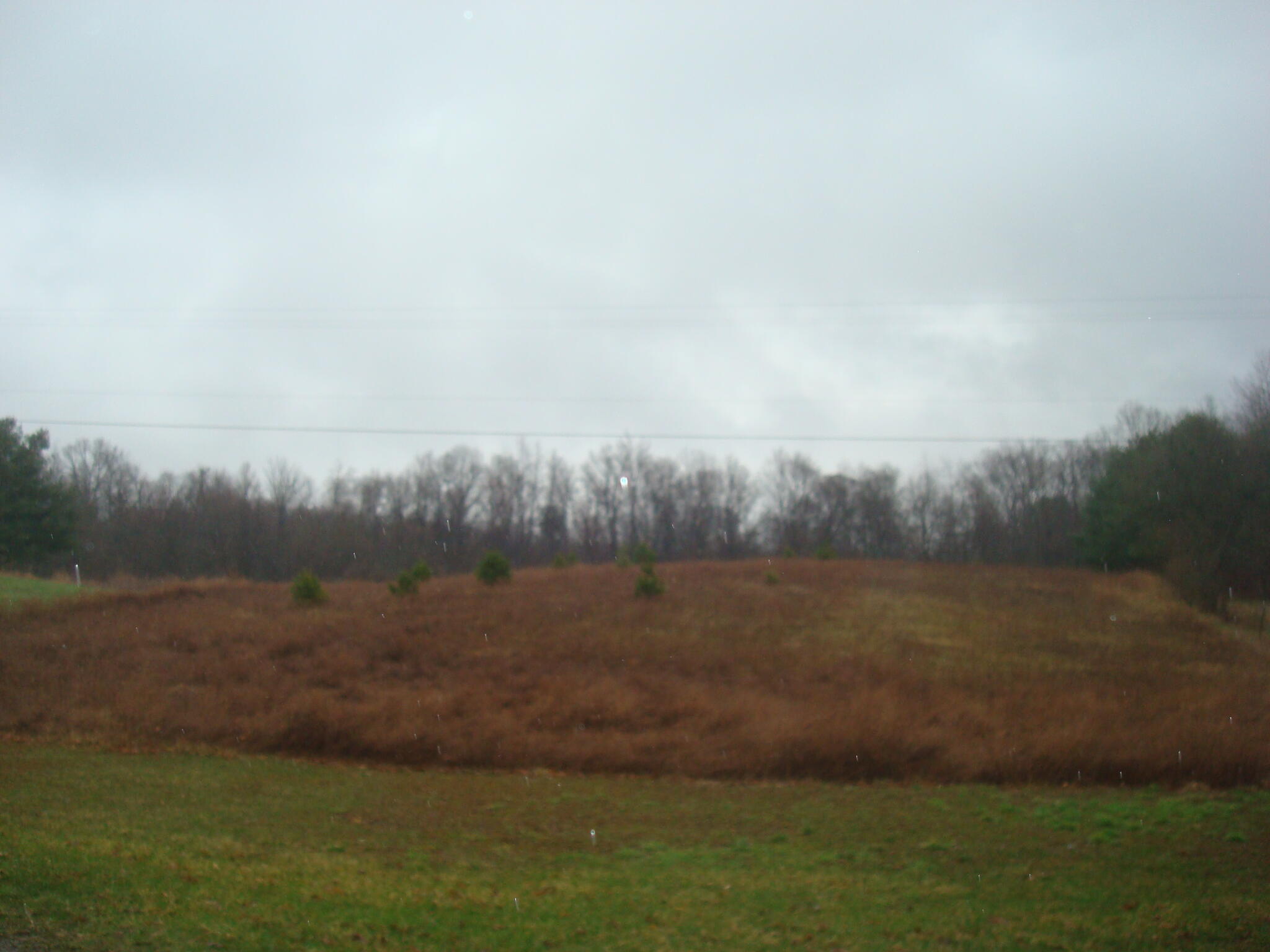 4847 South Rumsey Road Pittsford, MI 49271 - Photo 30 of 46 9191-11 (1)