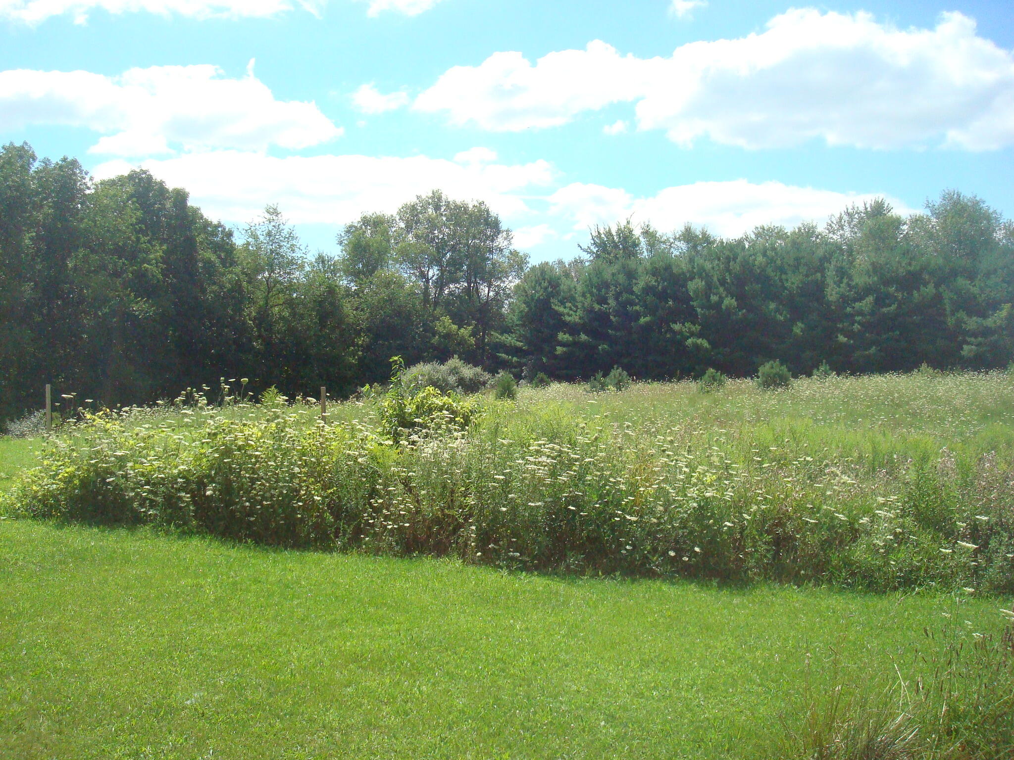 4847 South Rumsey Road Pittsford, MI 49271 - Photo 33 of 46 DSC04830