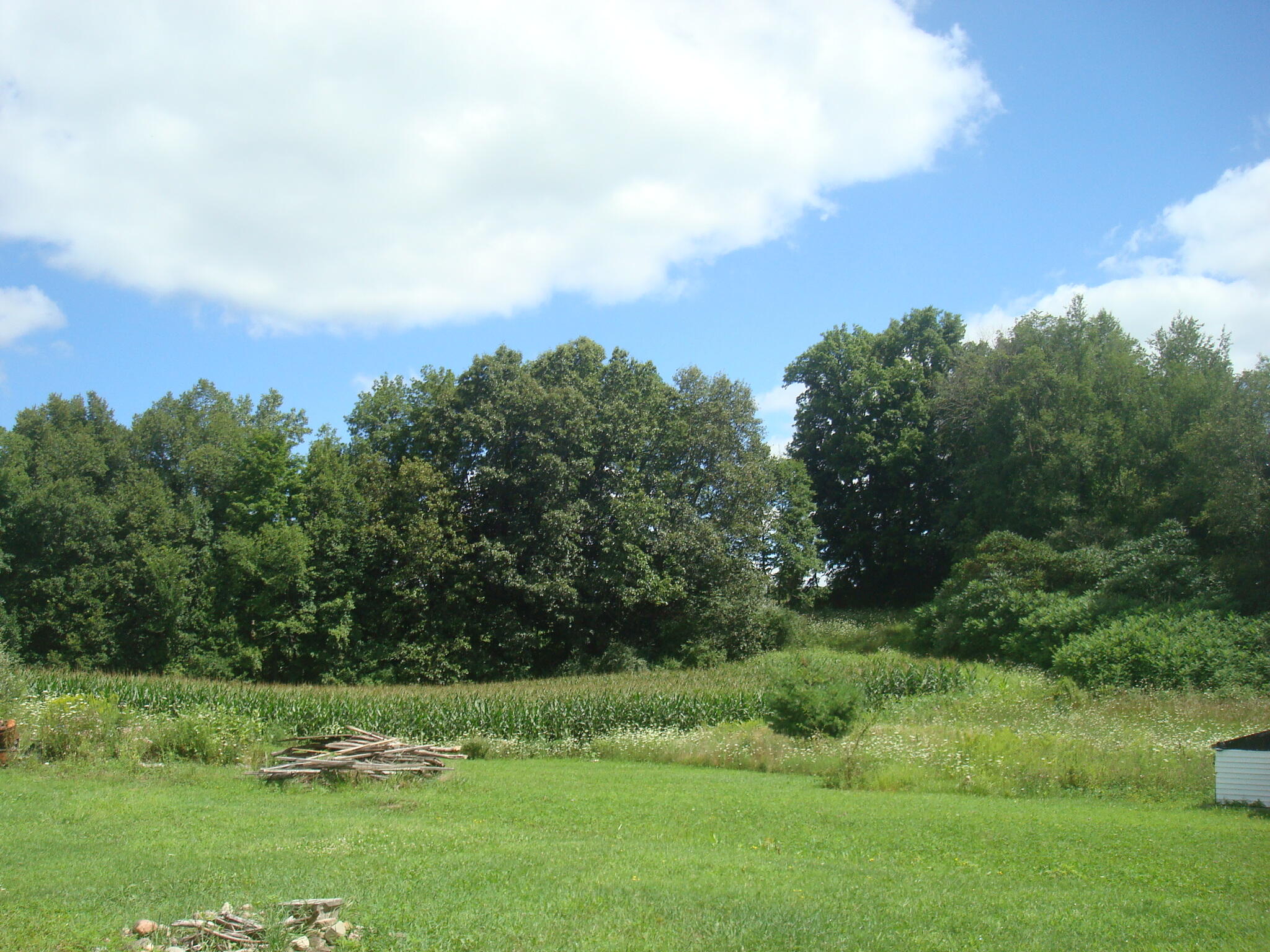 4847 South Rumsey Road Pittsford, MI 49271 - Photo 37 of 46 DSC04835