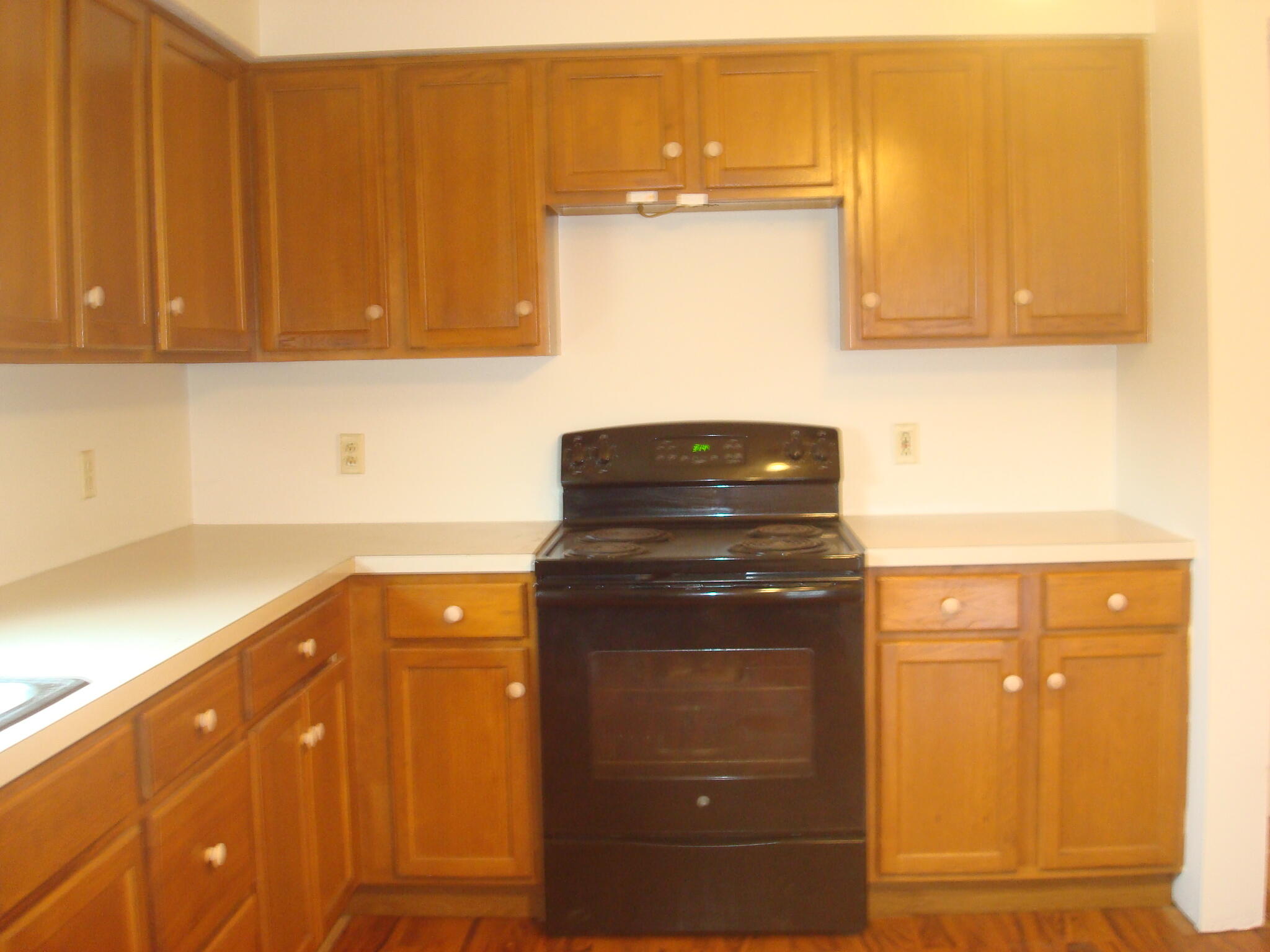 4847 South Rumsey Road Pittsford, MI 49271 - Photo 10 of 46 9191-4 (1)