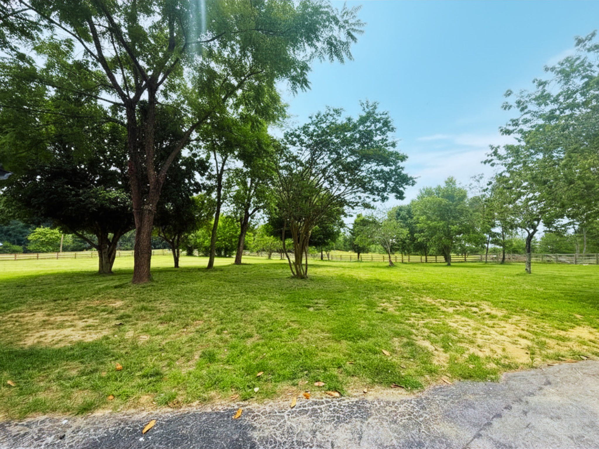 405 Fairfield Road Bethpage, TN 37022 - Photo 27 of 63 a big yard with lots of green space and trees