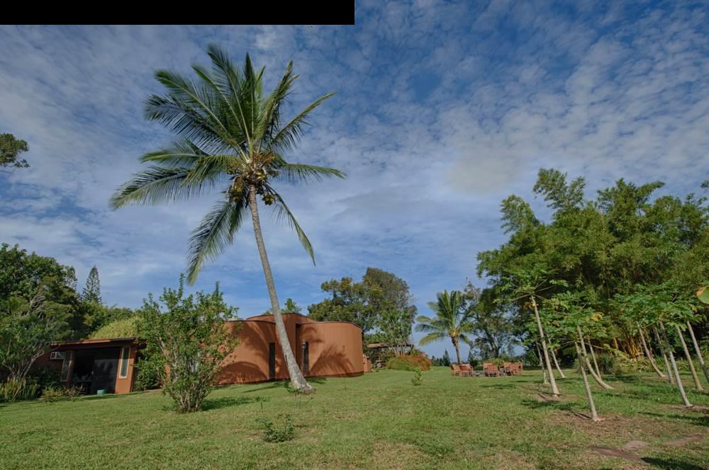 107 West Kuiaha Road Haiku, HI 96708 - Photo 12 of 20 a view of a yard with a fountain