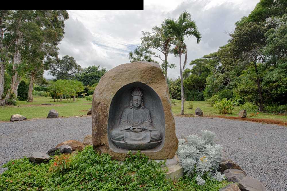 107 West Kuiaha Road Haiku, HI 96708 - Photo 19 of 20 a view of a garden with a slide