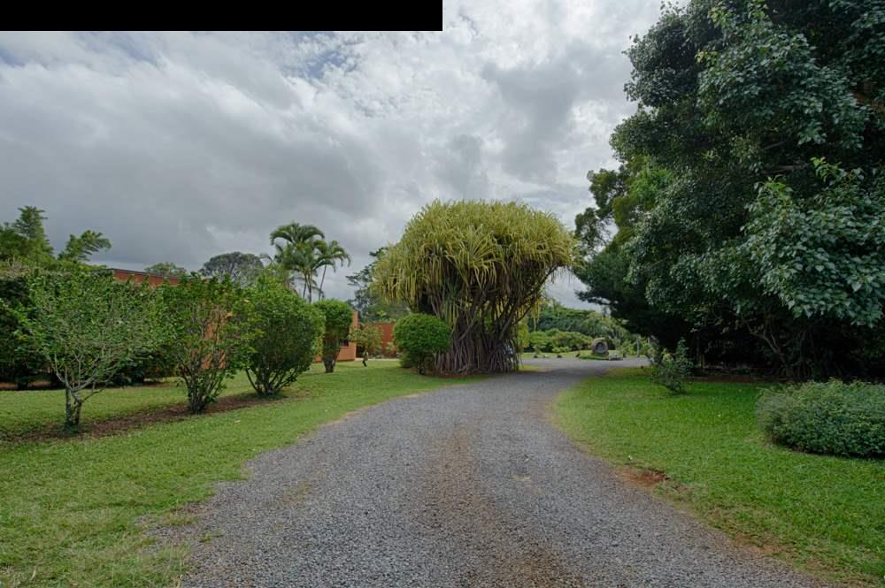 107 West Kuiaha Road Haiku, HI 96708 - Photo 20 of 20 a view of a garden with a building