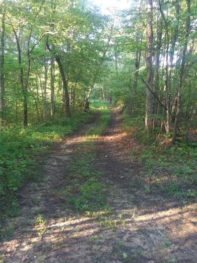 1 Brown Gabbard Road Booneville, KY 41314 - Photo 6 of 11 Photo 6