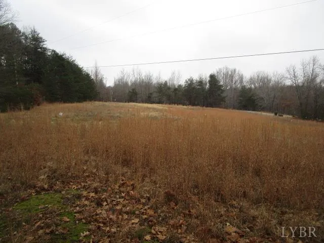 a view of a field of grass and trees