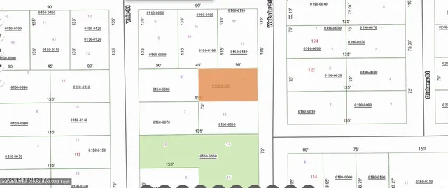 $10,000 | 0 Webster Street, Interlachen, FL 32148