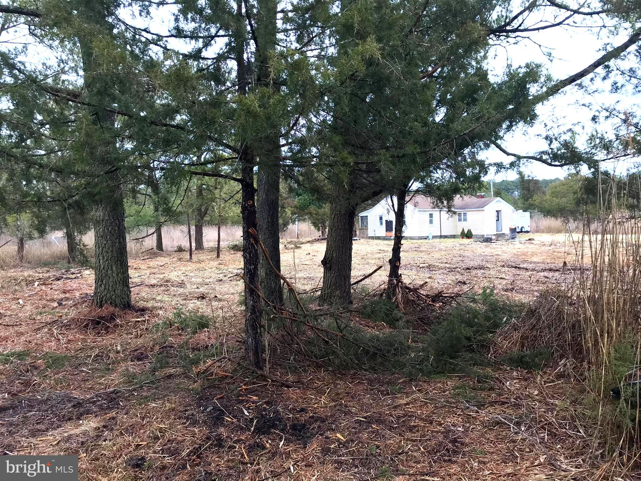 27289 Oriole Road Princess Anne, MD 21853 - Photo 2 of 13