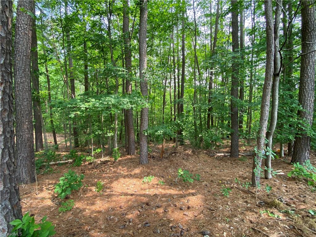 2784 Slate Road King, NC 27021 - Photo 48 of 49