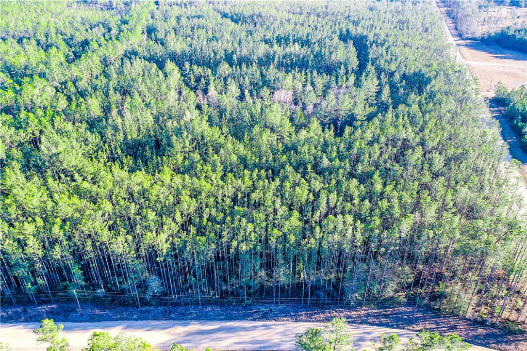 0 Farms Edge Rd Manor Manor, GA 31550 - Photo 12 of 25