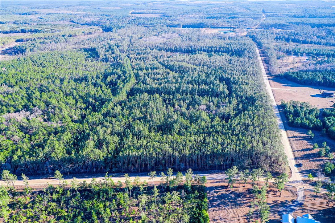 0 Farms Edge Rd Manor Manor, GA 31550 - Photo 13 of 25