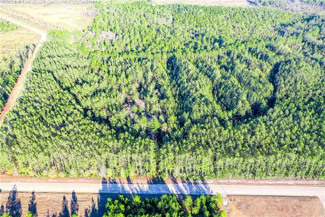 $198,888 | 0 Farms Edge Rd Manor, Manor, GA 31550