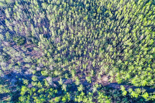 $198,888 | 0 Farms Edge Rd Manor, Manor, GA 31550