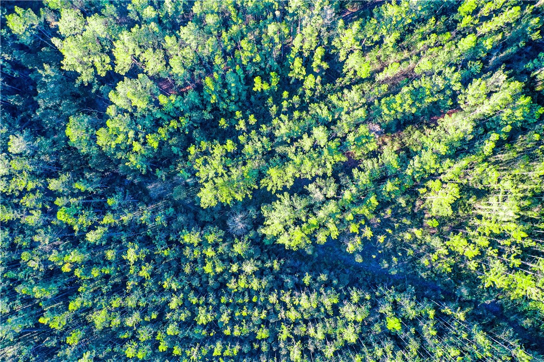 0 Farms Edge Rd Manor Manor, GA 31550 - Photo 20 of 25