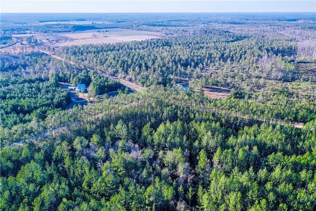 0 Farms Edge Rd Manor Manor, GA 31550 - Photo 21 of 25