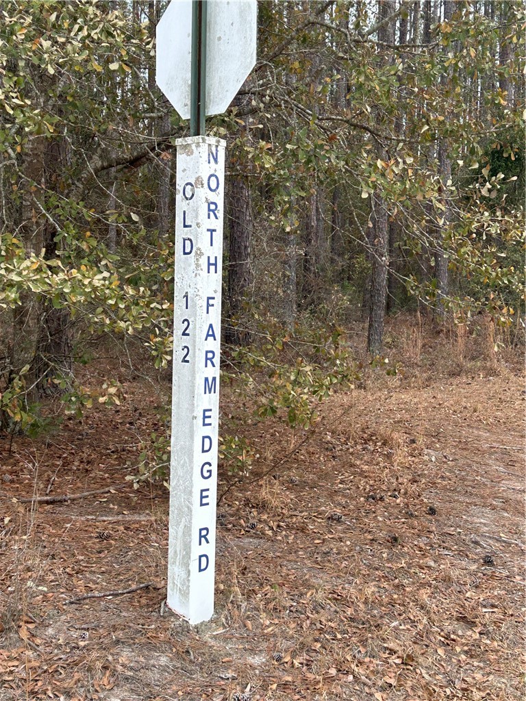 0 Farms Edge Rd Manor Manor, GA 31550 - Photo 25 of 25