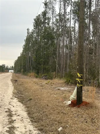$198,888 | 0 Farms Edge Rd Manor, Manor, GA 31550