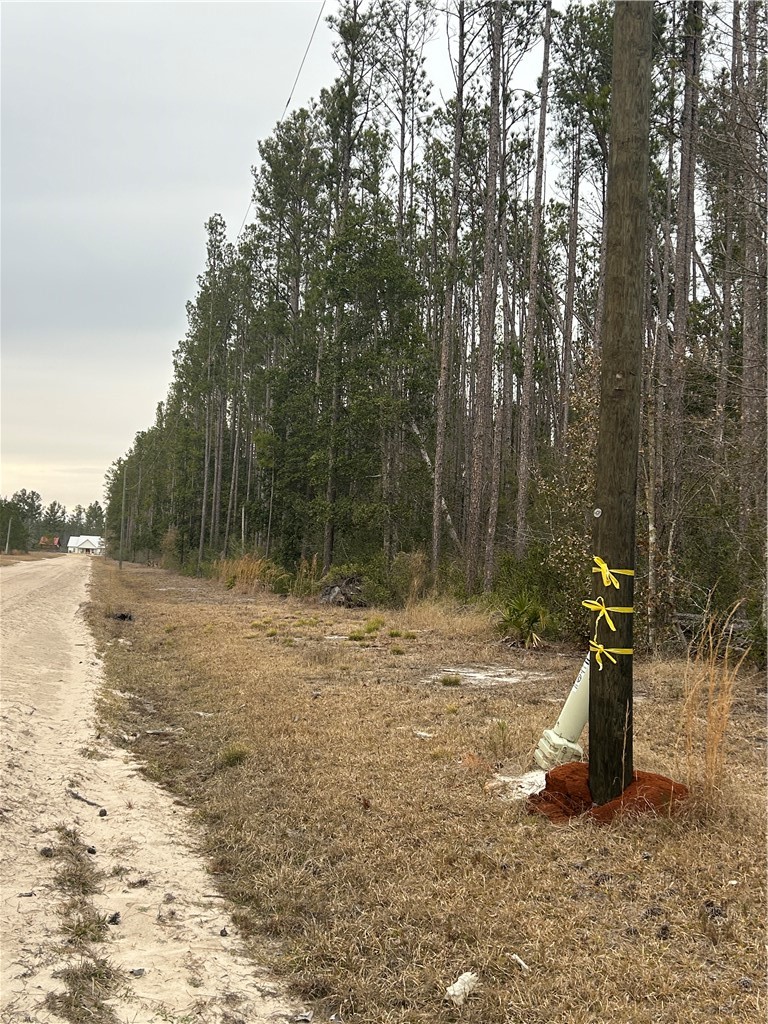 0 Farms Edge Rd Manor Manor, GA 31550 - Photo 3 of 25