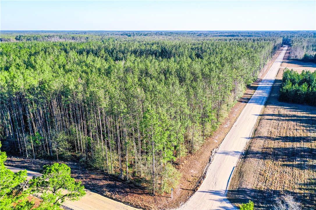 0 Farms Edge Rd Manor Manor, GA 31550 - Photo 4 of 25