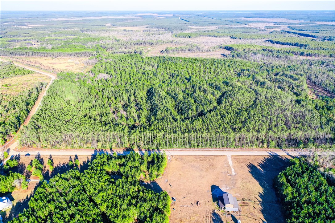 0 Farms Edge Rd Manor Manor, GA 31550 - Photo 8 of 25