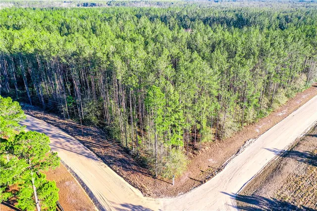 $198,888 | 0 Farms Edge Rd Manor, Manor, GA 31550