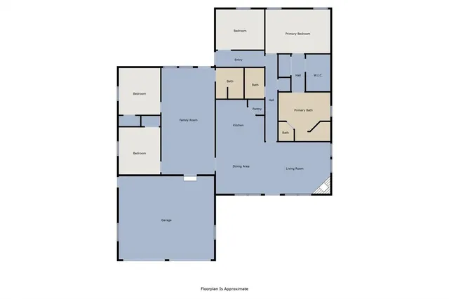 a view of a yard with plants and large trees