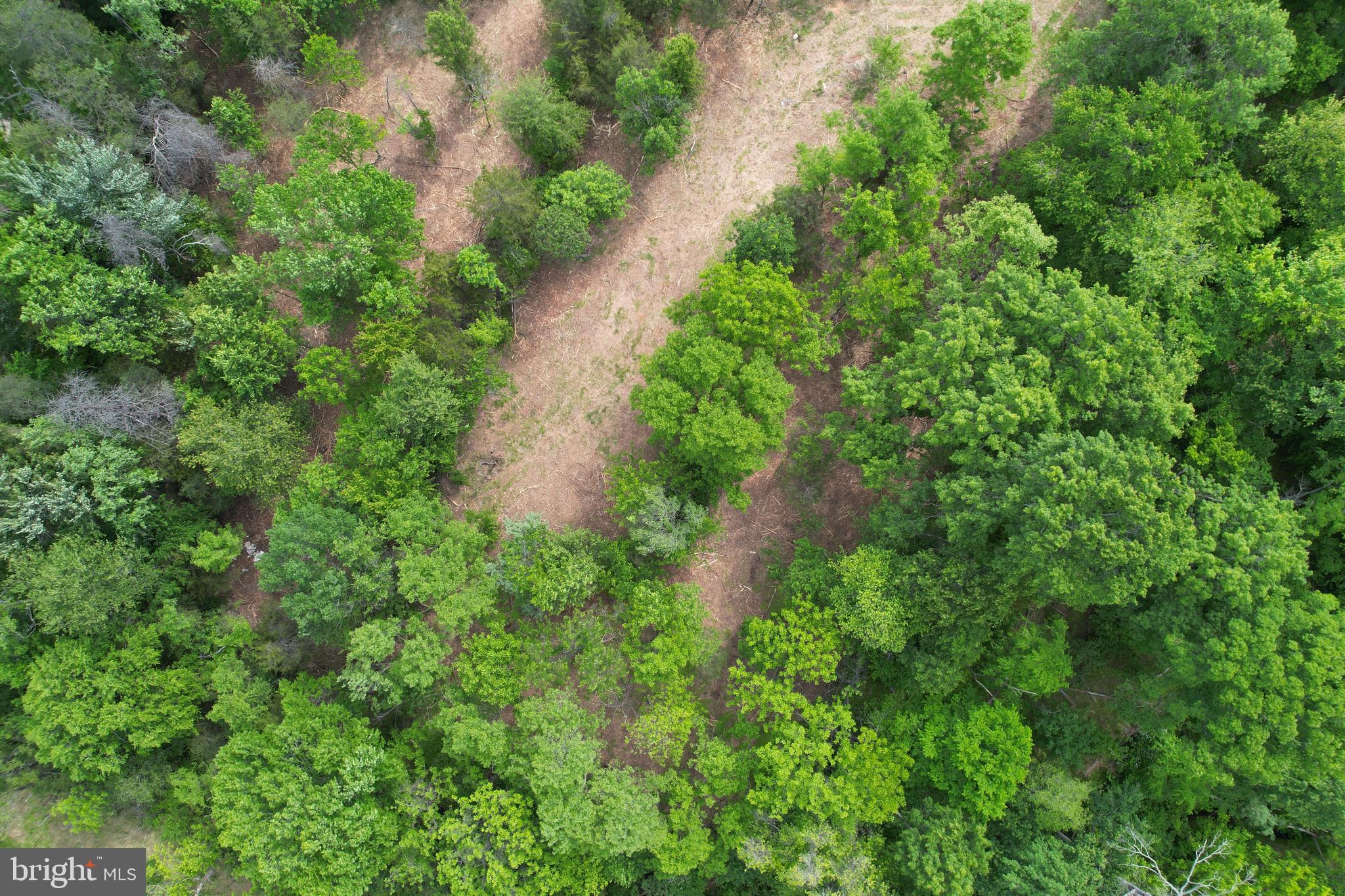 7812 Linton Hall Road Gainesville, VA 20155 - Photo 8 of 13