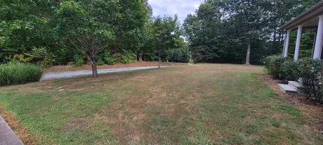 a view of a field with trees in front of it