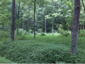 0 South Roberts Road Bloomington, IN 47401 - Photo 1 of 3 Gallery Image 1