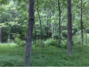 0 South Roberts Road Bloomington, IN 47401 - Photo 2 of 3 Gallery Image 2