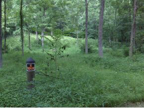 0 South Roberts Road Bloomington, IN 47401 - Photo 3 of 3 Gallery Image 3