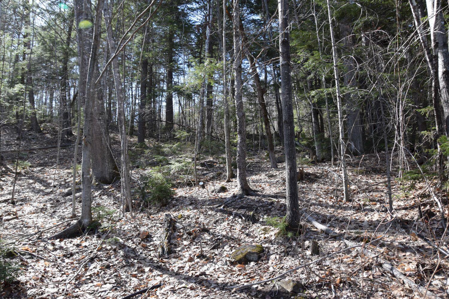 7-1 Carry Pond Road Bingham, ME 04920 - Photo 42 of 45 DSC_0019