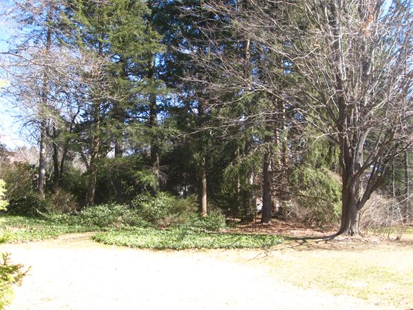 62 Blue Hills Road Amherst, MA 01002 - Photo 26 of 30 Gallery Image 26