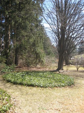 62 Blue Hills Road Amherst, MA 01002 - Photo 27 of 30 Gallery Image 27