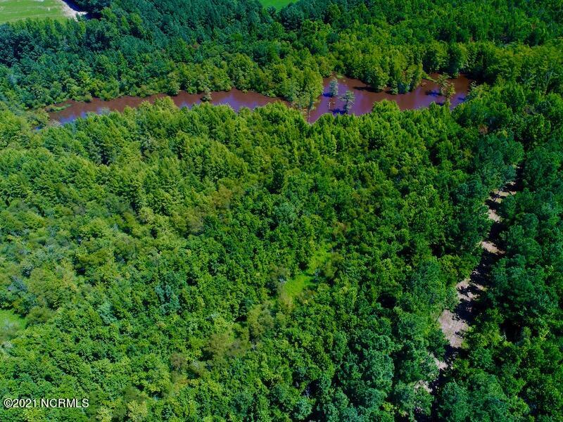 10431 Lake Royalle Road Spring Hope, NC 27882 - Photo 29 of 48 DJI_0352