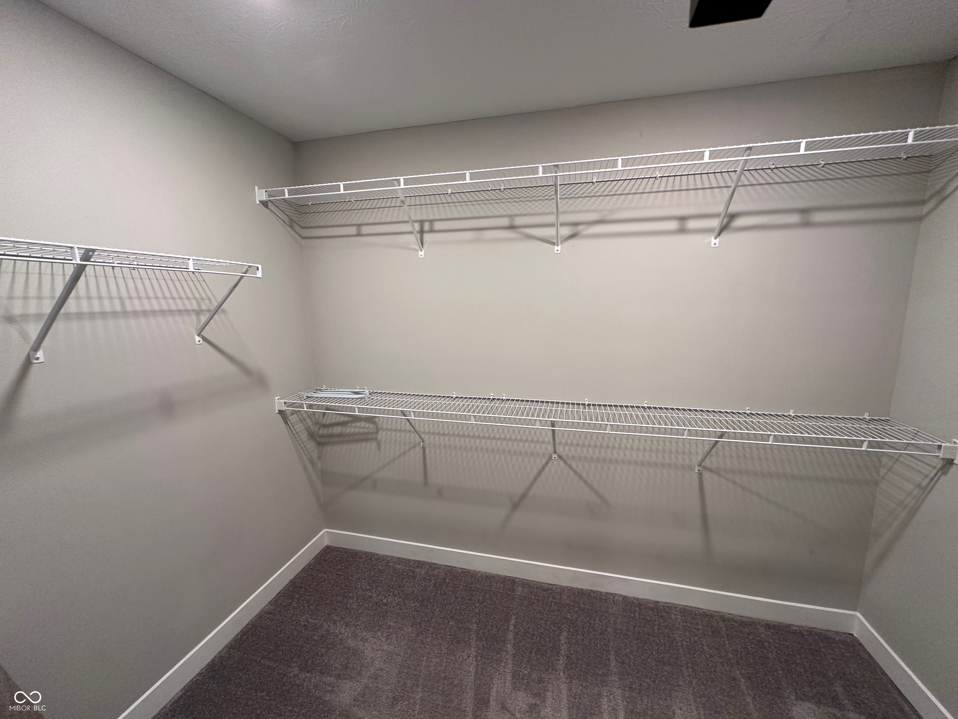 418 Switchgrass Lane Whiteland, IN 46184 - Photo 15 of 20