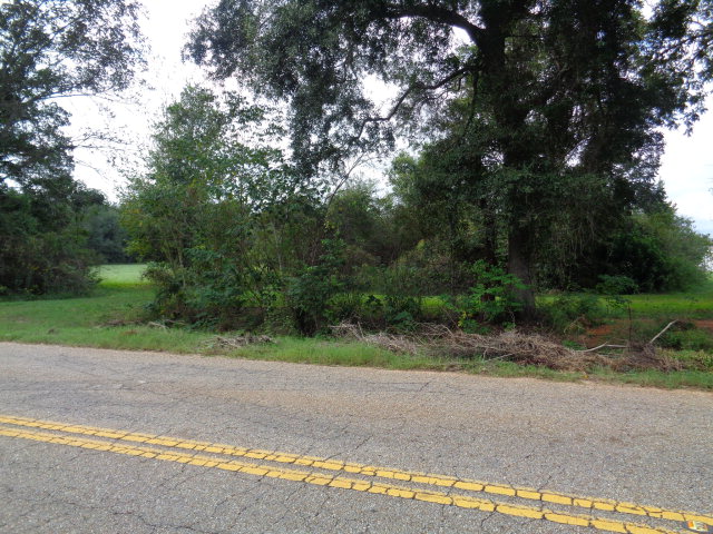 3-ac Eddins Road Dothan, AL 36301 - Photo 1 of 1