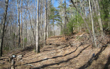 997 Stover Creek Cove Blue Ridge, GA 30513 - Photo 1 of 1 a view of a backyard of the house