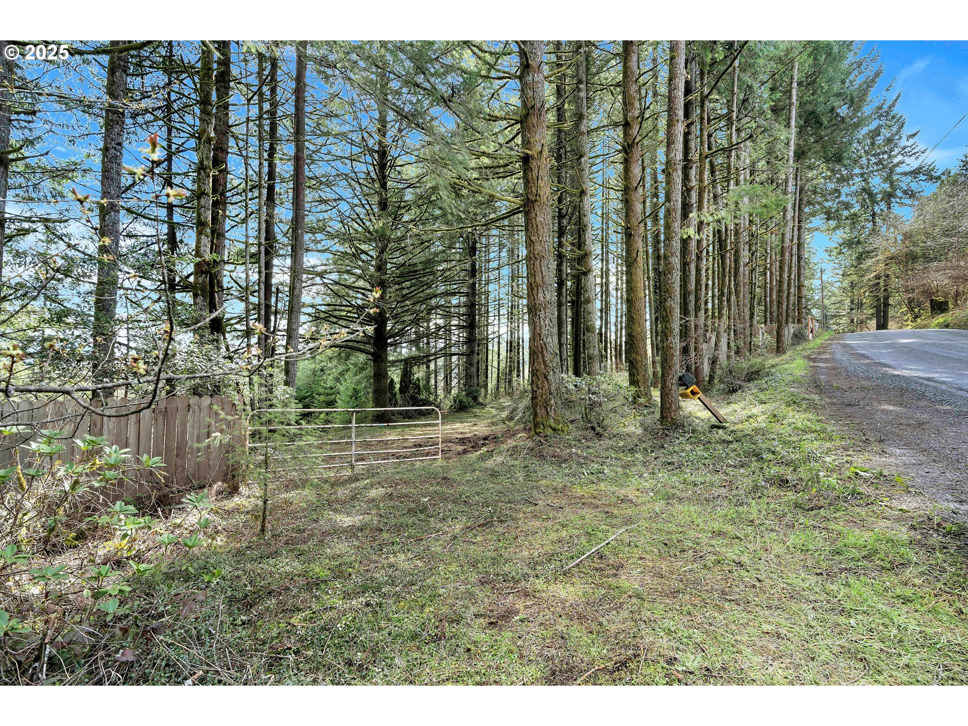 22900 Southwest Holly Hill Road Hillsboro, OR 97123 - Photo 1 of 16 a view of outdoor space with trees
