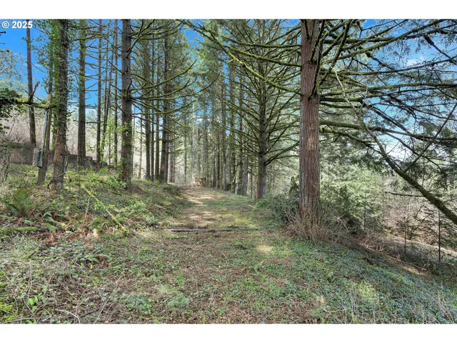 a view of outdoor space and yard