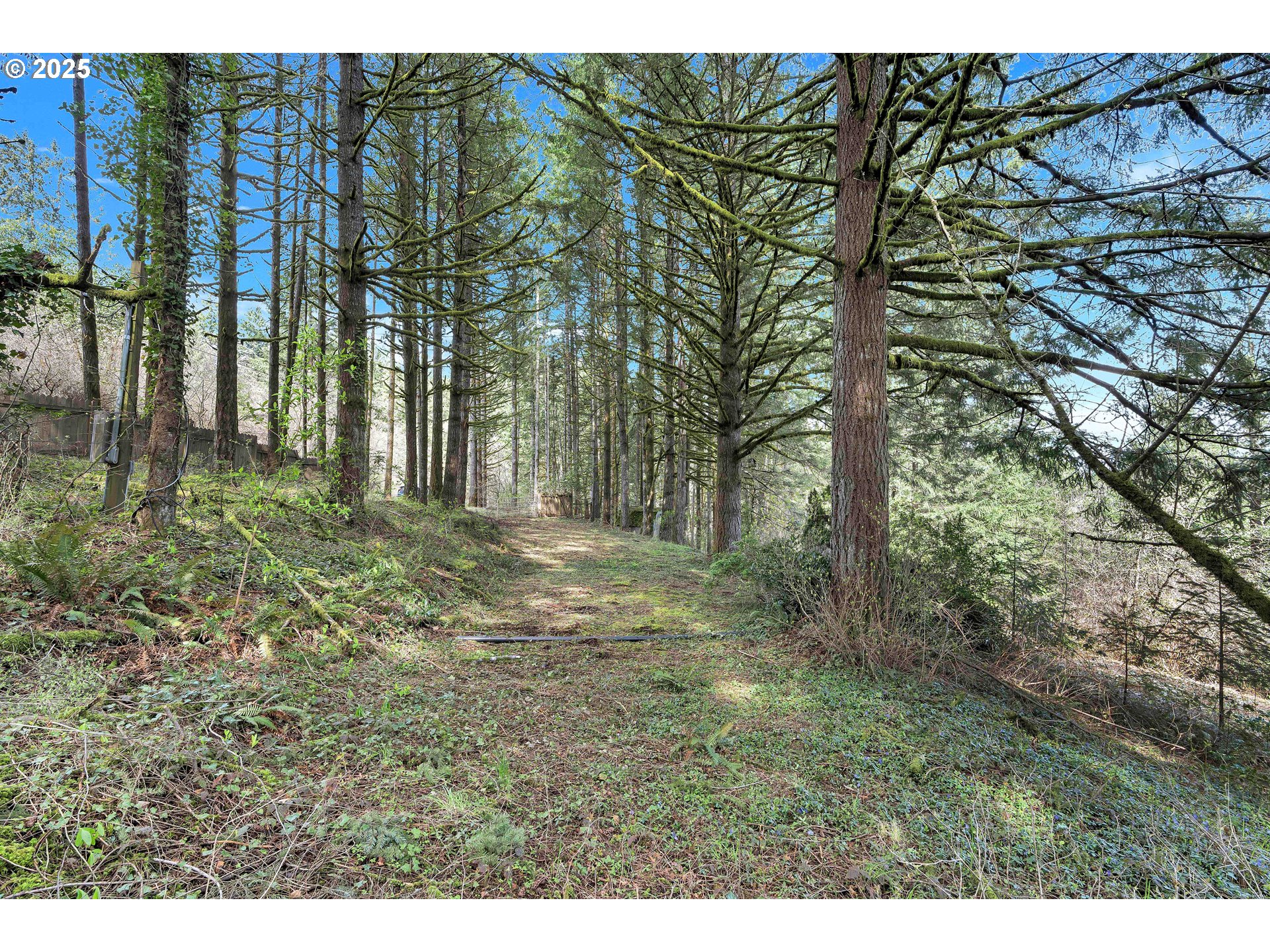 22900 Southwest Holly Hill Road Hillsboro, OR 97123 - Photo 3 of 16 a view of outdoor space and yard
