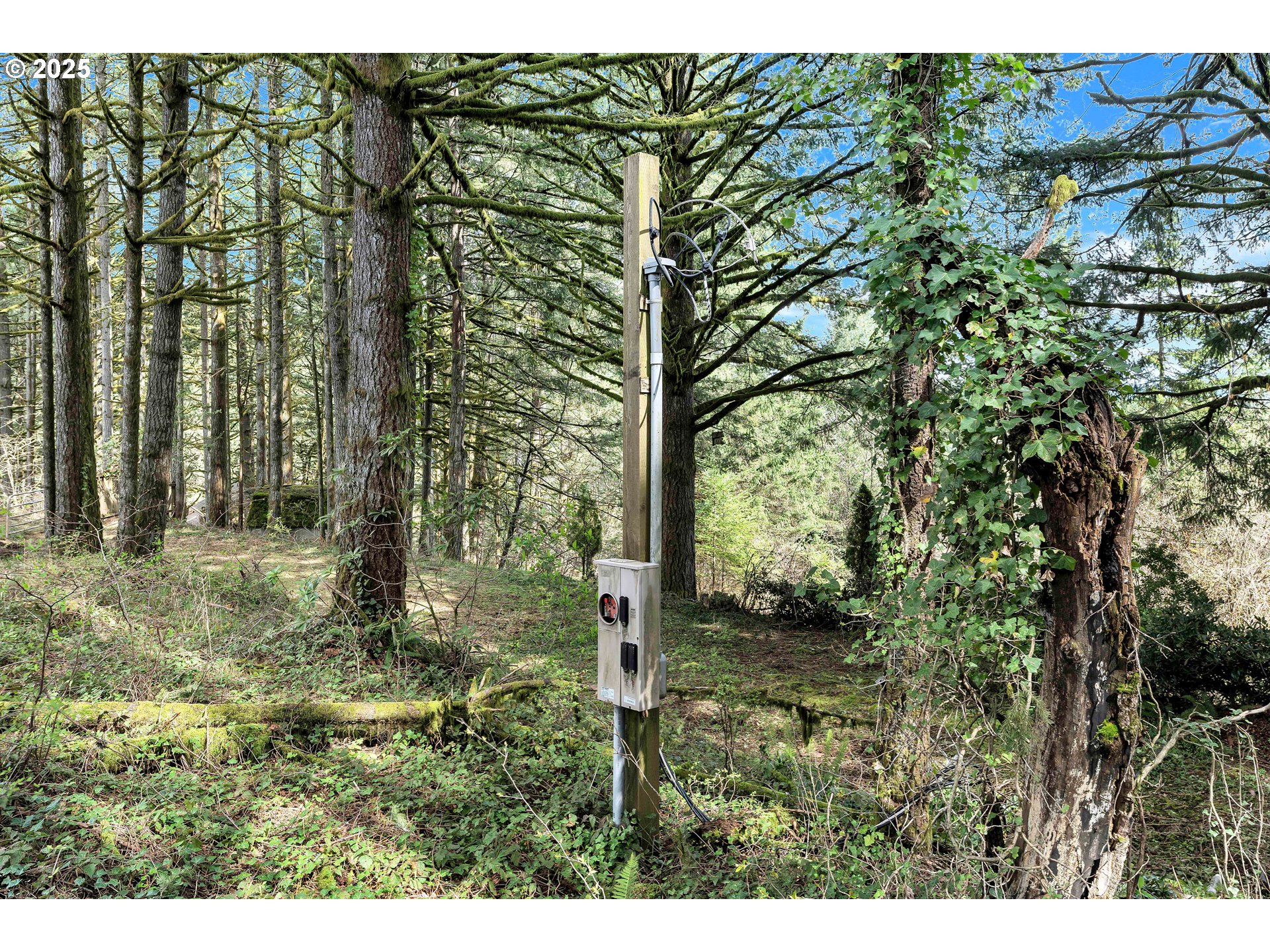 22900 Southwest Holly Hill Road Hillsboro, OR 97123 - Photo 5 of 16 a view of outdoor space and garden
